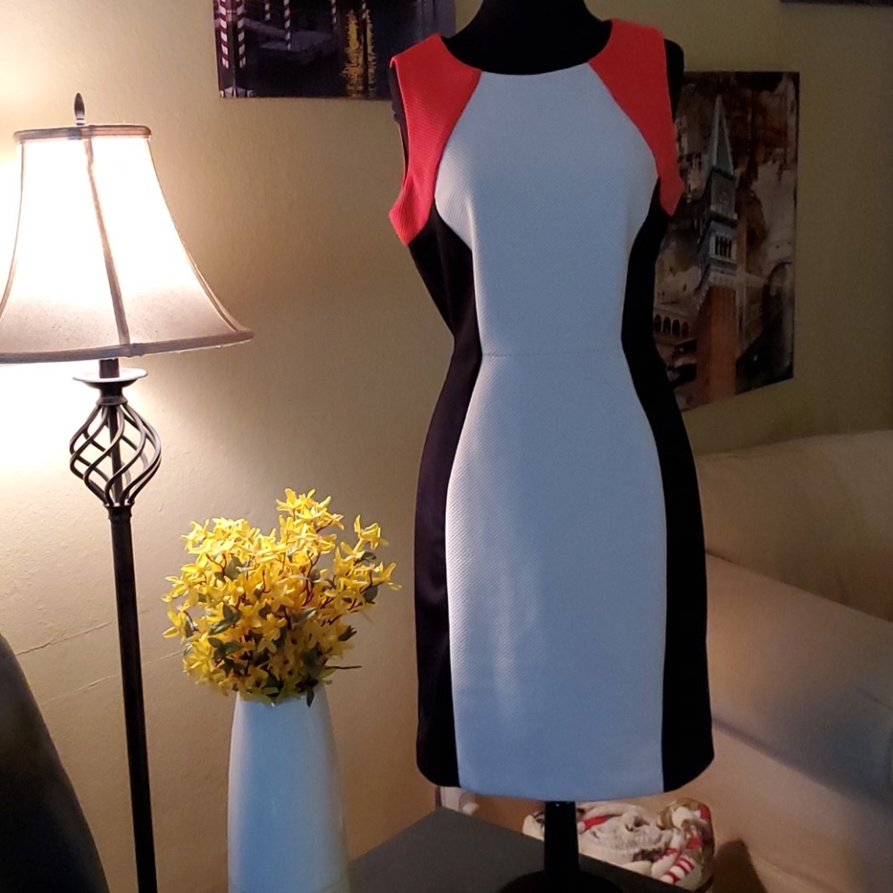 Block color dress